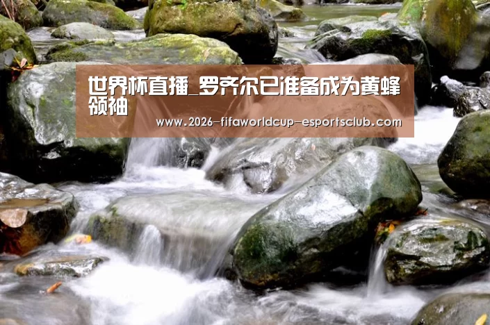 世界杯直播_罗齐尔已准备成为黄蜂领袖(图1) 世界杯直播