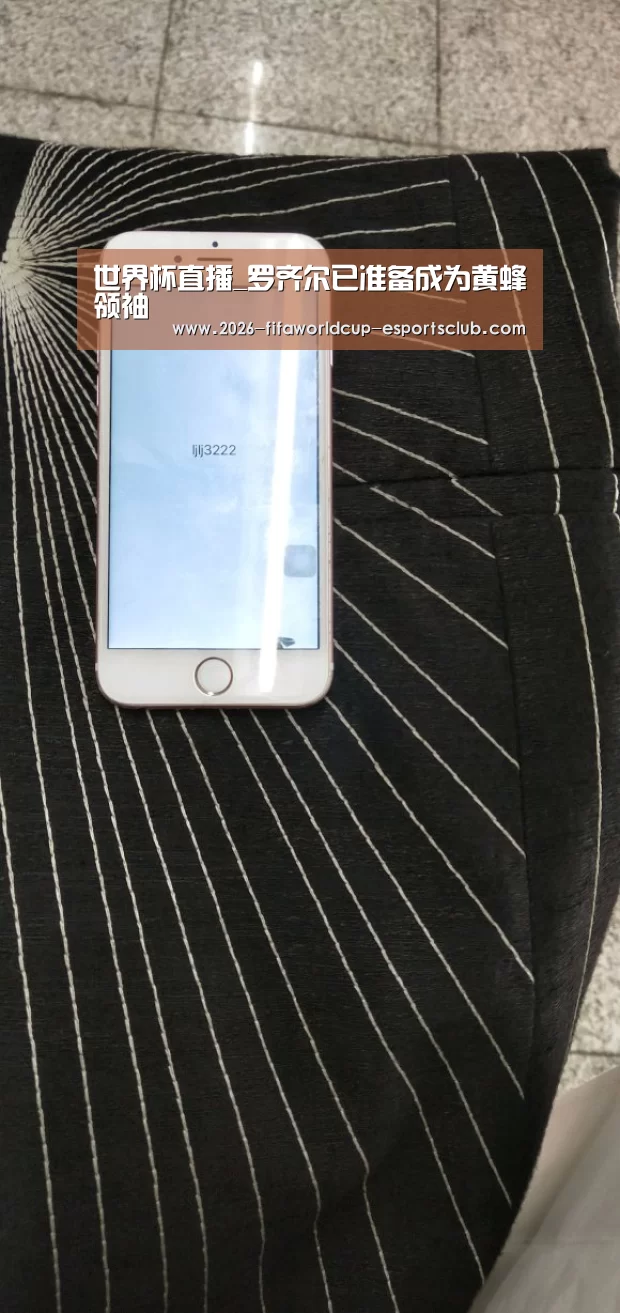 世界杯直播_罗齐尔已准备成为黄蜂领袖(图2) 世界杯直播