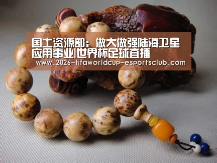 国土资源部:做大做强陆海卫星应用事业|世界杯足球直播(图3) 世界杯足球直播